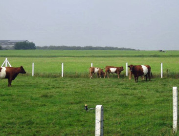 Vanaf 2015 zijn er alleen nog 'groene' boeren