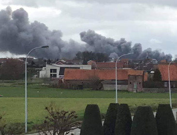 Groen gruwt van dierenleed door zoveelste stalbrand