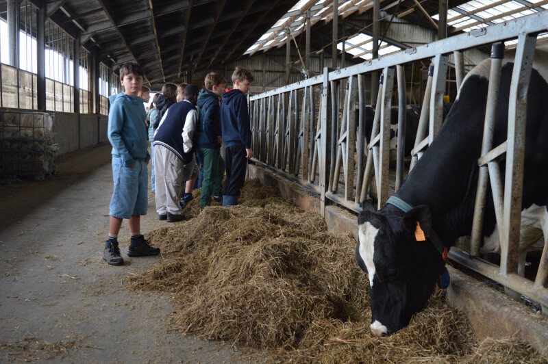 stem op de boerderij 5