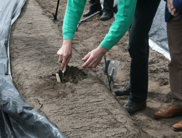 Maken robots aspergestekers straks overbodig?