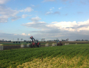 Meerderheid landbouw kampt met negatieve resultaten