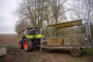 Hooi naar black angus