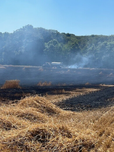 brand brakel