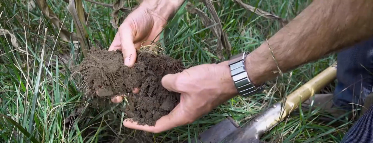 CarbonFarming_bodem koolstoflandbouw_Inagro