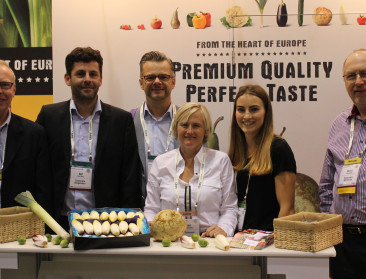 VS verlekkerd op Belgisch witloof