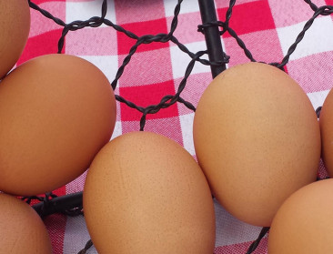 In Wallonië is één landbouwer op zeven bioboer