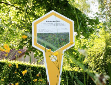 Genk uitgeroepen tot bijenvriendelijkste gemeente