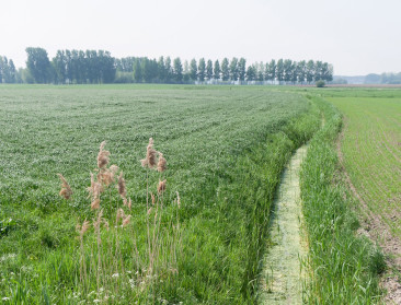 Meetjesland profileert zich als authentiek platteland