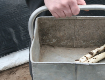 4.500 gezinnen wagen zich aan Seizoensgroente-Challenge