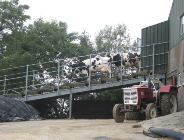 Actiegroep vraagt met petitie om steun voor de boeren