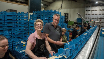 Grote aspergeteler zet alles in de korte keten af: “ik wilde geen prijsnemer meer zijn.”