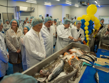 Alfa Fish opent nieuwe fabriek en wil meer lokale vis op Vlaamse borden