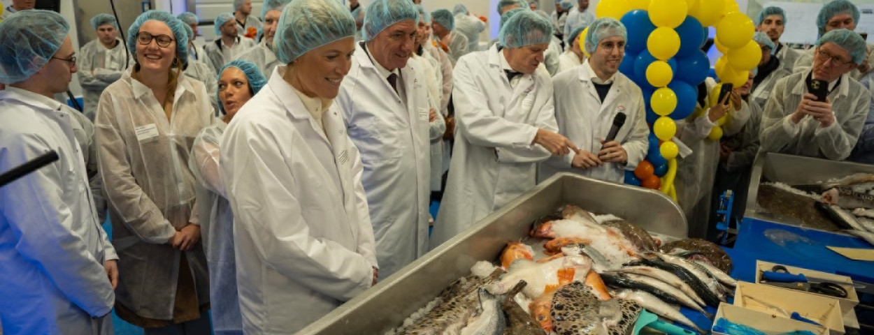 Jambon bij Alfa fish
