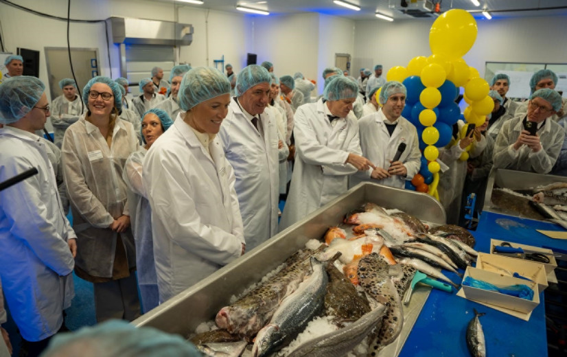 Alfa Fish opent nieuwe fabriek en wil meer lokale vis op Vlaamse borden