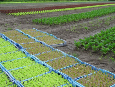 Bioboeren wikken en wegen het Vlaams regeerakkoord