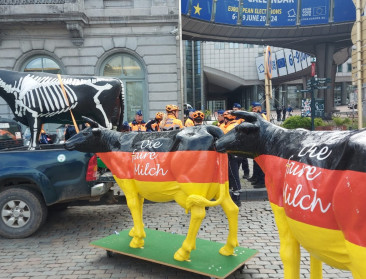 "Ramenez les vaches": Boerenbetoging in Brussel verloopt zonder incidenten