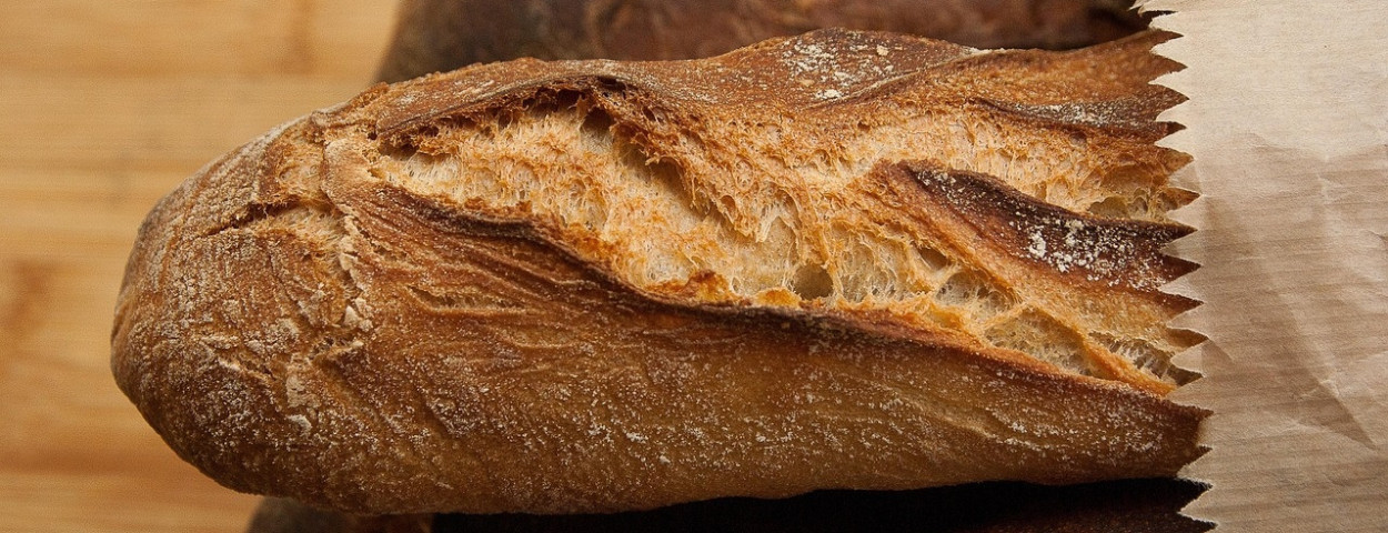 broodstokbrood
