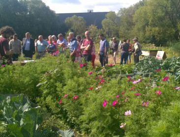 Nieuwe financiële stimulans voor opstart volkstuinen