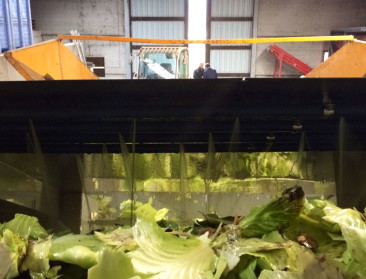 Europese richtlijnen voor restproducten in diervoeders