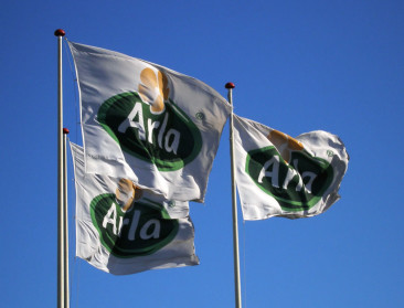 Arla bevriest Britse melkprijs na boerenprotest