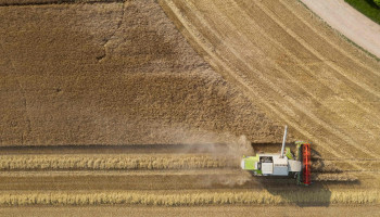 Geen pasmunt voor besparingen: Landbouw moet centraal blijven in nieuwe EU-begroting