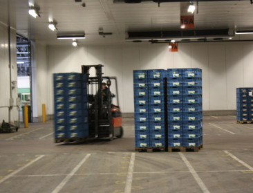 Hogere interventieprijs groenten en fruit is officieel