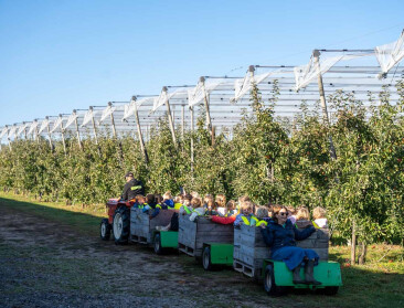 Korteketenverkoop maakt investeringen tegen klimaatveranderingen mogelijk op fruitbedrijf