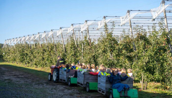 Korteketenverkoop maakt investeringen tegen klimaatveranderingen mogelijk op fruitbedrijf