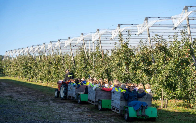 Korteketenverkoop maakt investeringen tegen klimaatveranderingen mogelijk op fruitbedrijf