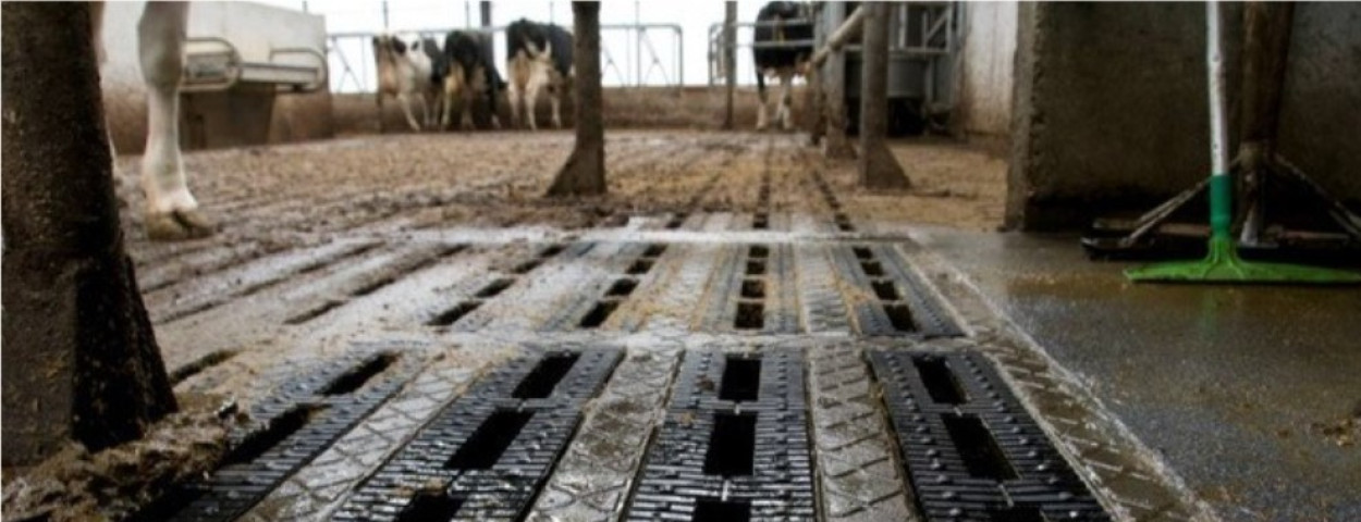 Foto Pas vloer uitnodiging