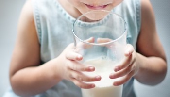 Hoort melk thuis in een evenwichtig voedingspatroon?