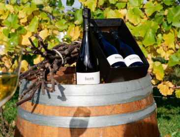 Slechts 3 procent van Belgen drinkt geregeld lokale wijn