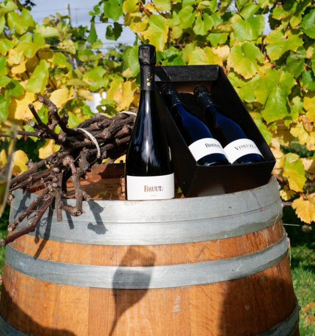 Slechts 3 procent van Belgen drinkt geregeld lokale wijn