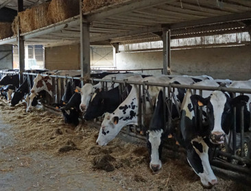 Arla Foods lanceert klimaatcheck voor melkveebedrijven