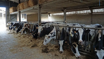 Arla Foods lanceert klimaatcheck voor melkveebedrijven