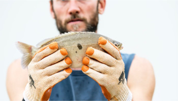 Veelbelovende landgebonden viskwekerij sterft stille dood