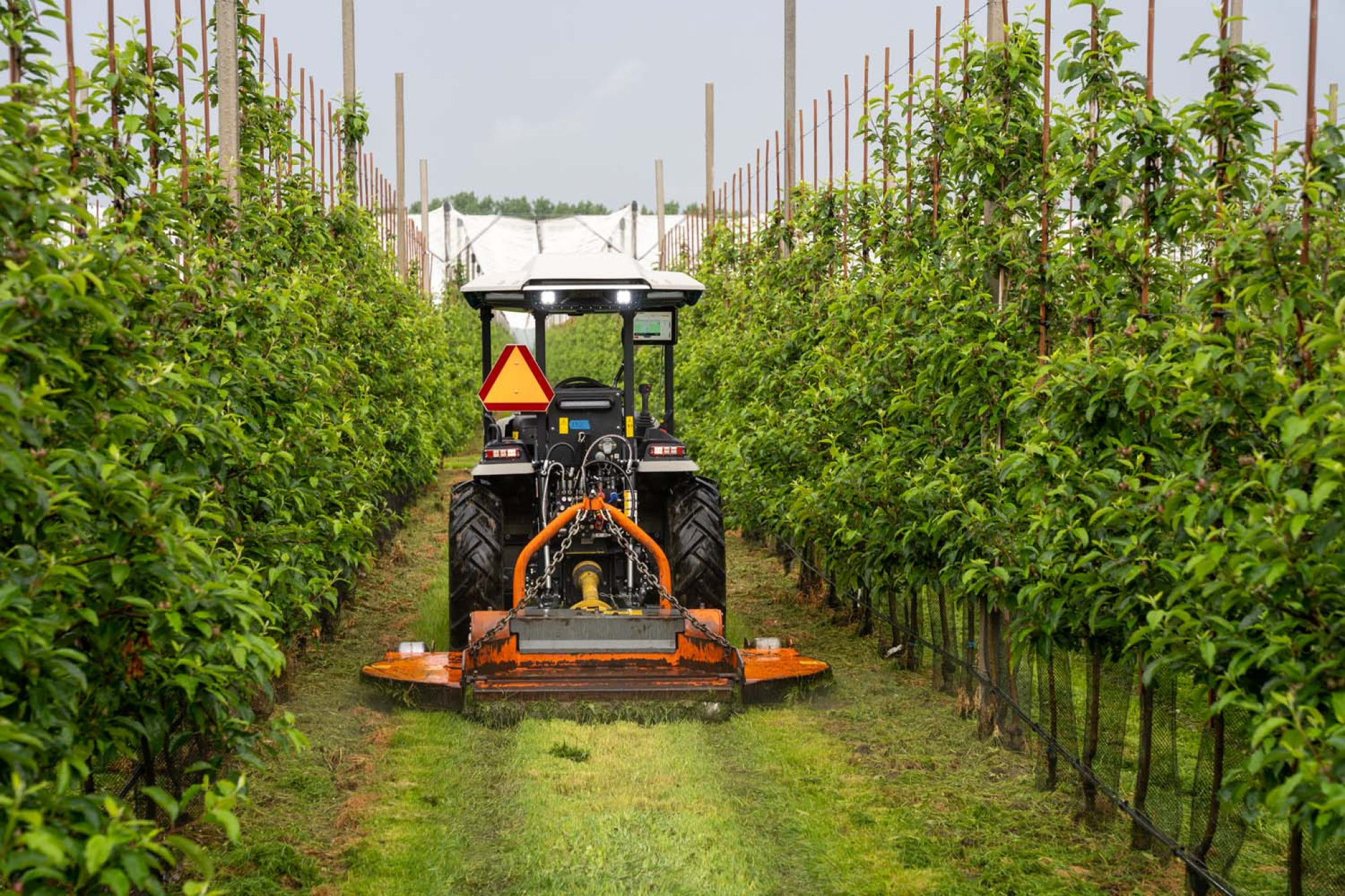 Autonome-elektrische tractor op fruitperceel van Wolfcarium in samenwerking met Colruyt