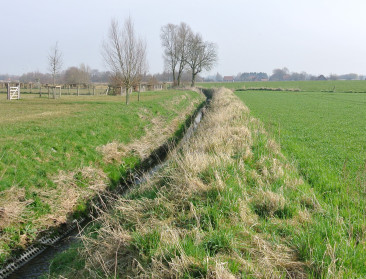 EU wil beterschap in relatie van landbouw met water