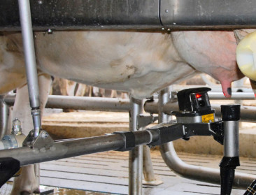 84 Vlaamse melkveehouders behalen MCC-diploma