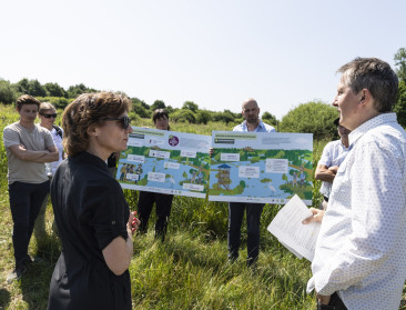 Eurocommissaris Jessika Roswall onderstreept belang natuurherstel tijdens bezoek Demerbroeken