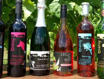 Wallonië wil volwaardige wijnstreek worden