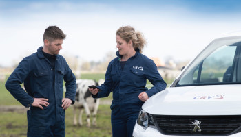 Verwachte krimp in veestapel noopt CRV tot herstructurering: 150 jobs verdwijnen