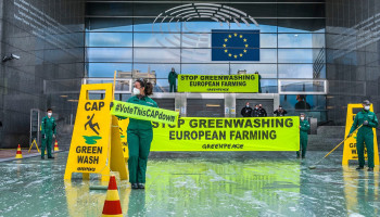 Analyse Greenpeace GLB: 40 procent van de EU-subsidies gaat naar één procent van de grootste boerderijen