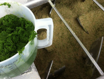 "Reststromen hebben plaats in veevoeder van toekomst"