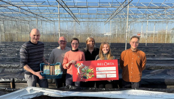 Eerste Vlaamse asperges brengen 2.000 euro in het laatje