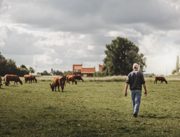 BioForum blijft op honger zitten over stikstofakkoord