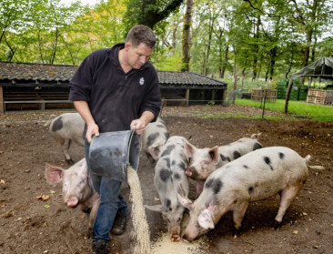 Begrip herenboer krijgt in Nederland nieuwe betekenis