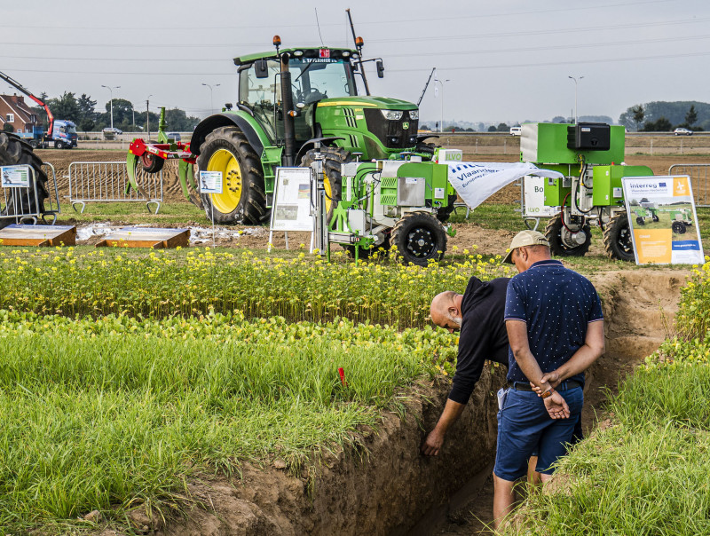 thema-eiland bodem Wertuigendagen