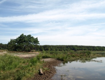 Europese biodiversiteit is er belabberd aan toe