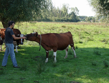 "Laat boeren deel van oplossing voor natuurdoelen zijn"